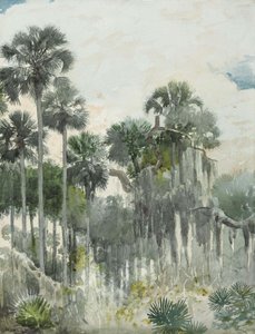 Florida Jungle by Winslow Homer